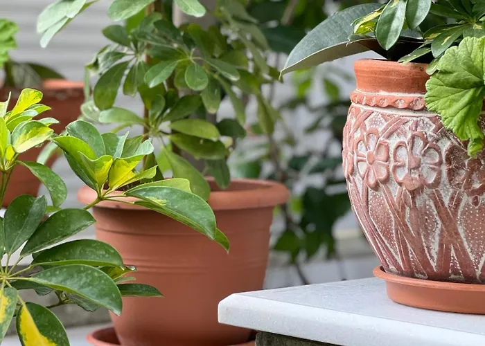 Βίλα μονοκατοικία  Maizonette Passaggio G *